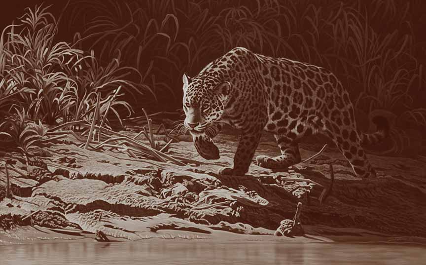 CJ2 – zSepia Pantanal Huntress © Clinton Jammer