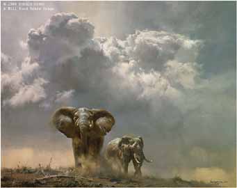 DG2 – African Rains – Elephants © Donald Grant