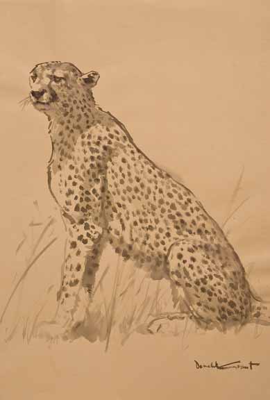 DG2 – Cheetah Drawing 2 © Donald Grant