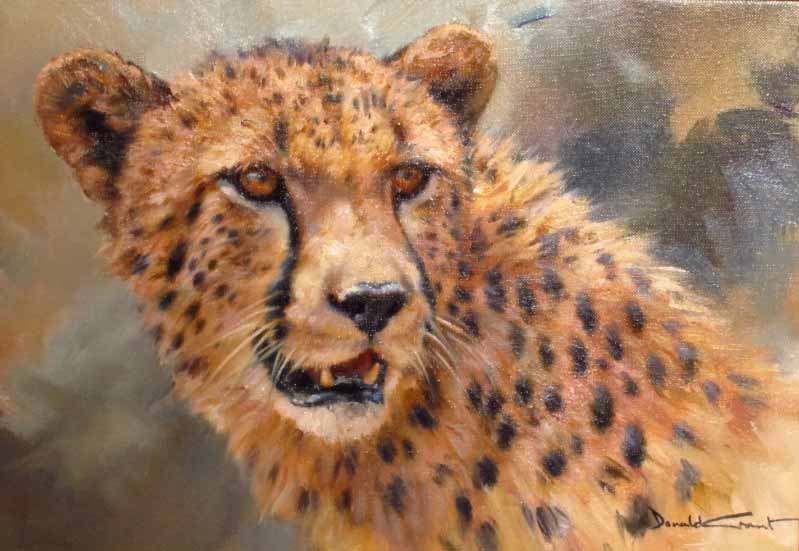 DG2 – Cheetah © by Donald Grant