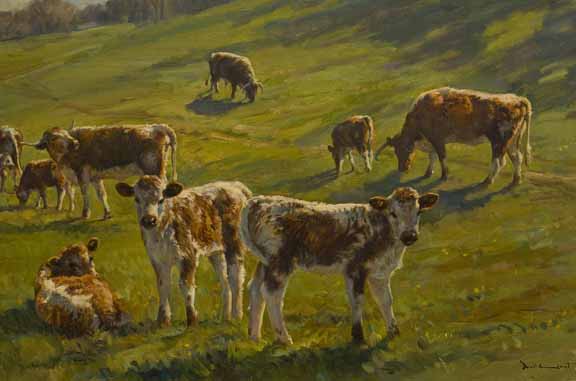 DG2 – Cows © Donald Grant