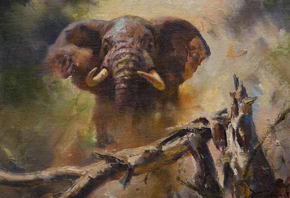 DG2 – Elephant © Donald Grant
