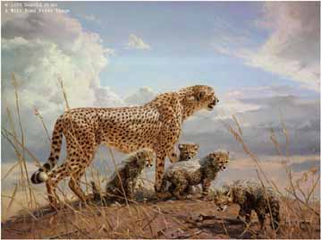 DG2 – First Outing – Cheetah and Cubs © Donald Grant