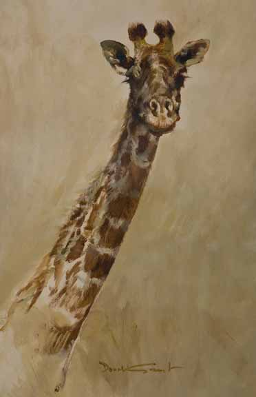DG2 – Giraffe © Donald Grant