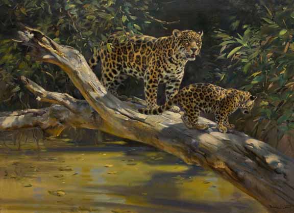 DG2 – Jaguars © Donald Grant
