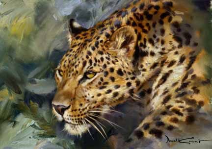 DG2 – Leopard Study © Donald Grant
