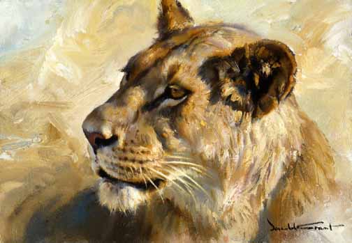 DG2 – Lioness Study © Donald Grant