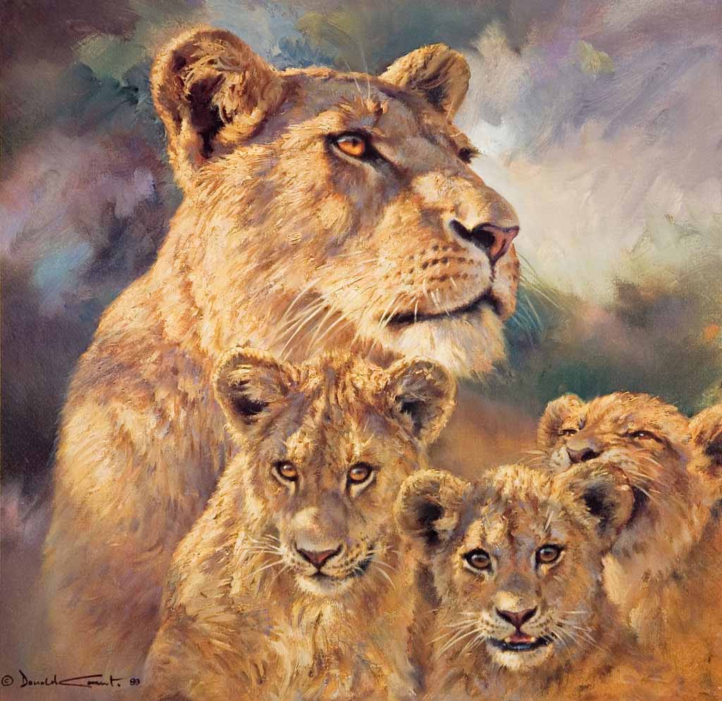 DG2 – Lioness and Cubs © Donald Grant