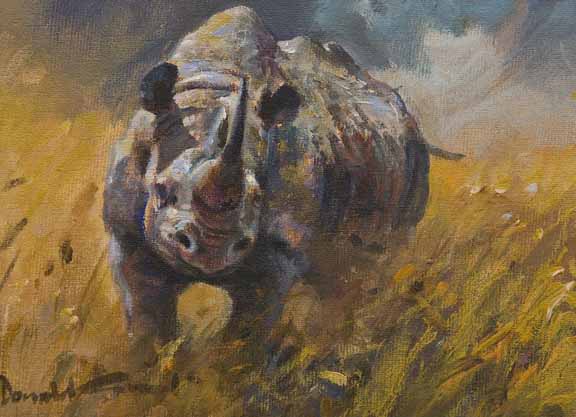 DG2 – Rhino © Donald Grant