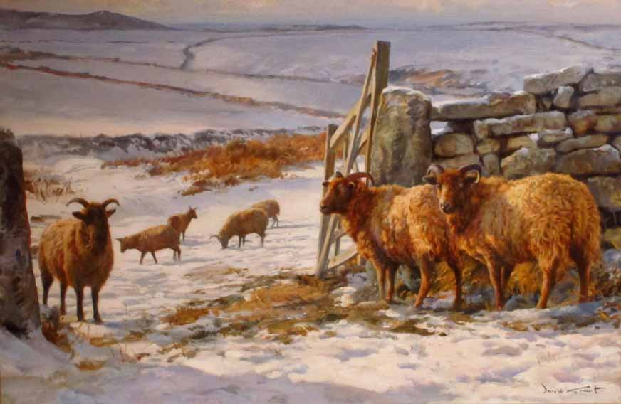 DG2 – Snow Scene with Jacobs Sheep © Donald Grant