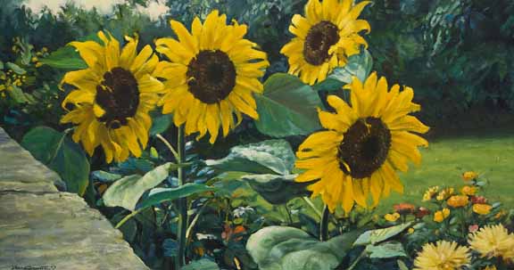 DG2 – Sunflowers © Donald Grant