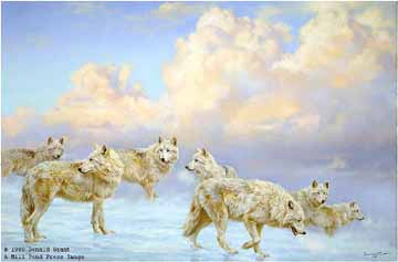 DG2 – The Ice Pack – Arctic Wolves © Donald Grant