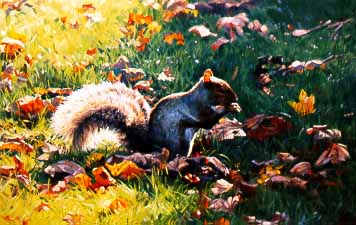 DP2 – Autumn Leaves – Squirrel © Dino Paravano