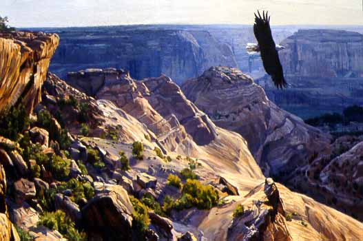 DP2 – Bald Eagle Over Canyon De Chelley © Dino Paravano