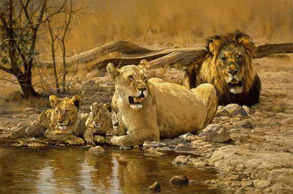DP2 – Etosha Lion Family © Dino Paravano