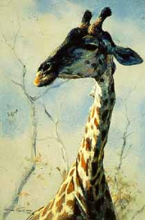 DP2 – Giraffe Profile © Dino Paravano