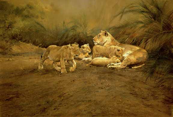 DP2 – Lioness and Four Cubs © Dino Paravano