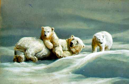 DP2 – Polar Bear With Cubs © Dino Paravano