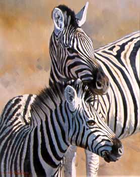 DP2 – Zebra and Foal © Dino Paravano