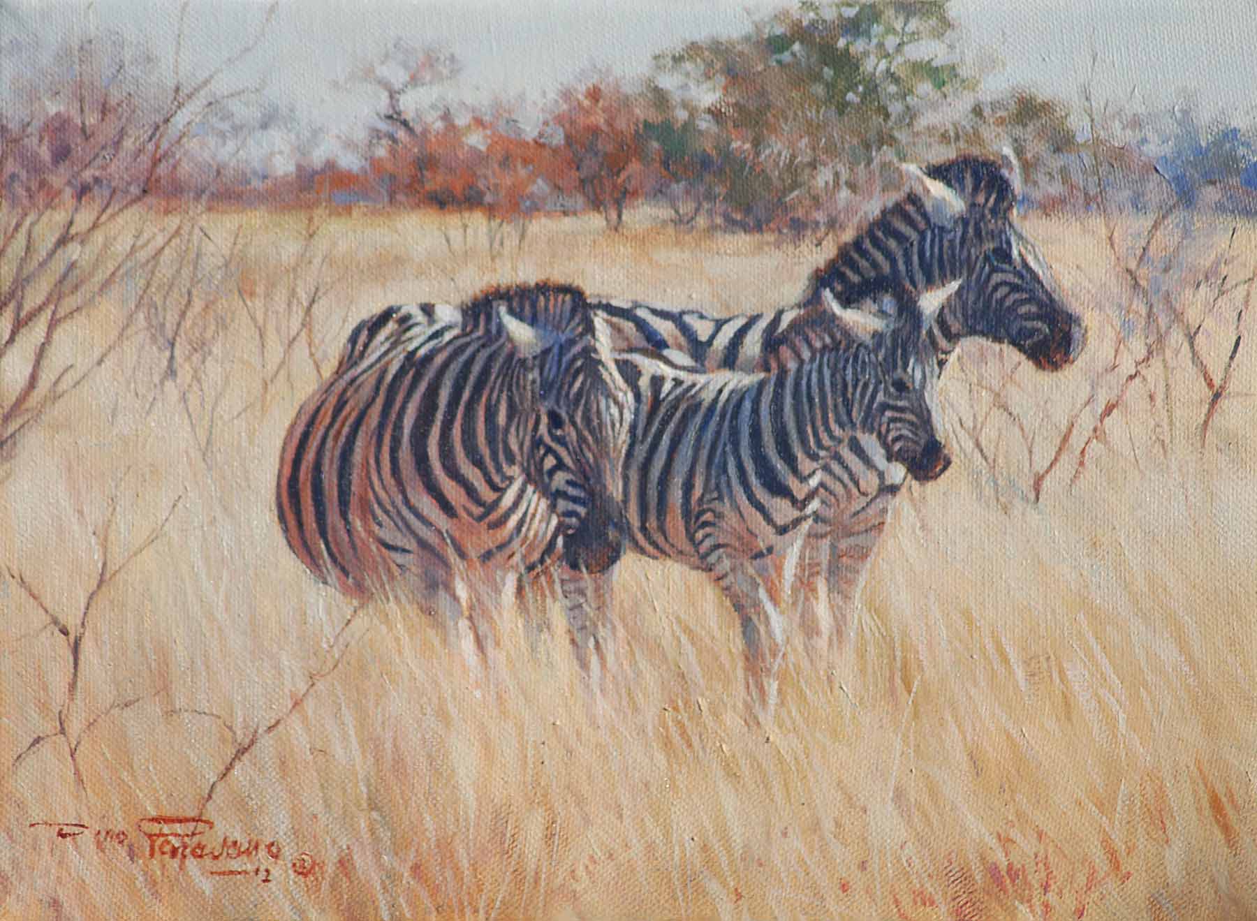DP2 – Zebra in High Grass © Dino Paravano