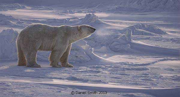 DS – Arctic Aura © Daniel Smith