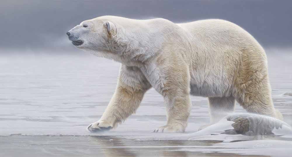 DS – Arctic Icon © Daniel Smith