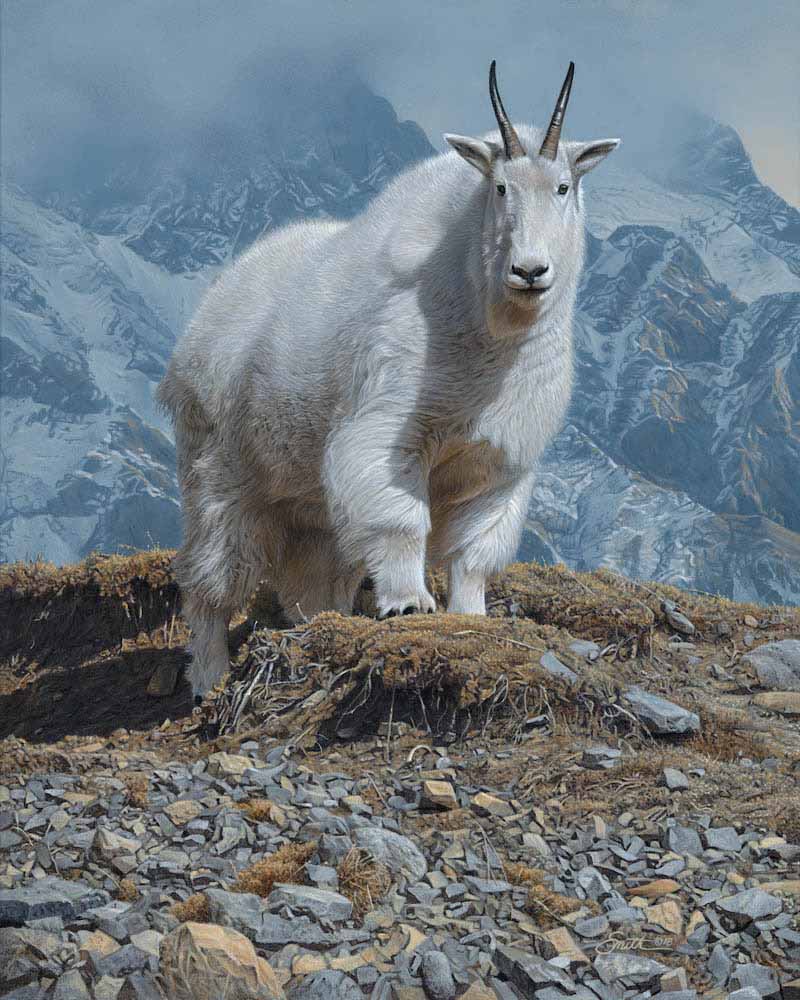 DS – Goat Haunt © Daniel Smith