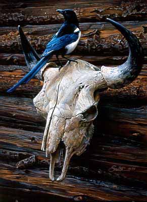 DS – Magpie and Skull © Daniel Smith