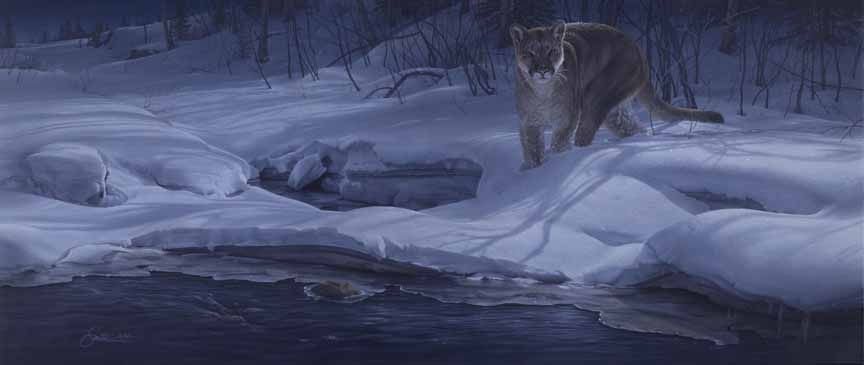 DS – Night Moves – Cougar © Daniel Smith