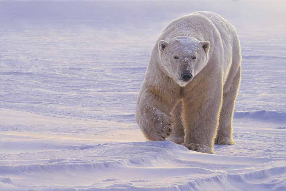 DS – Polar Patrol © Daniel Smith