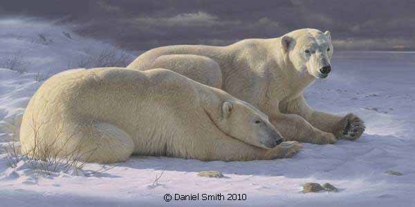 DS – Polar Repose © Daniel Smith