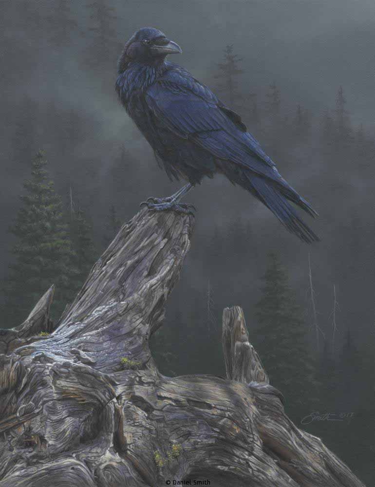 DS – Raven’s Roost © Daniel Smith