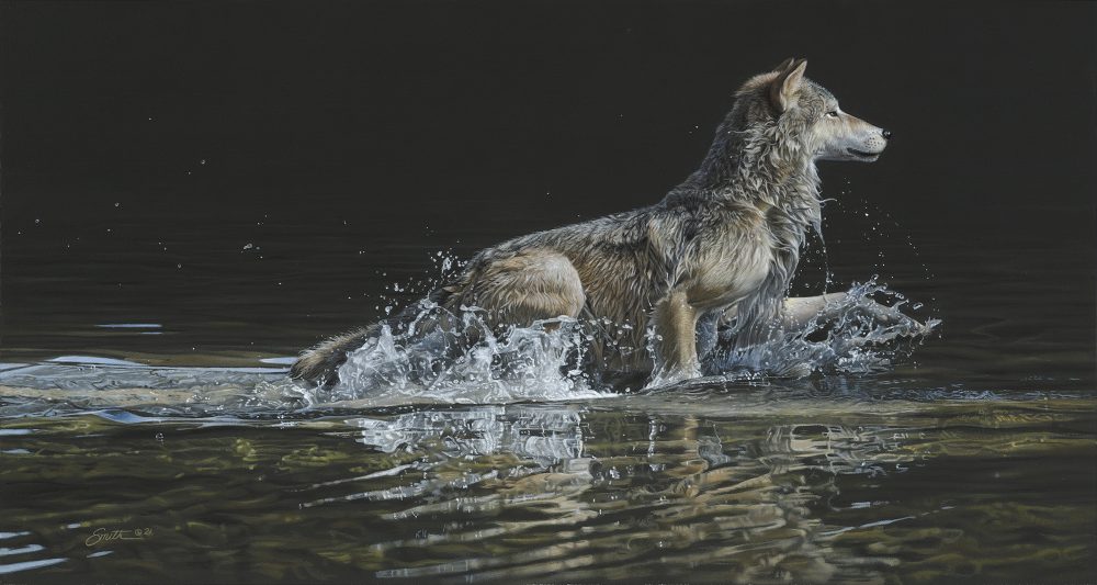 DS – Steppinwolf © Daniel Smith