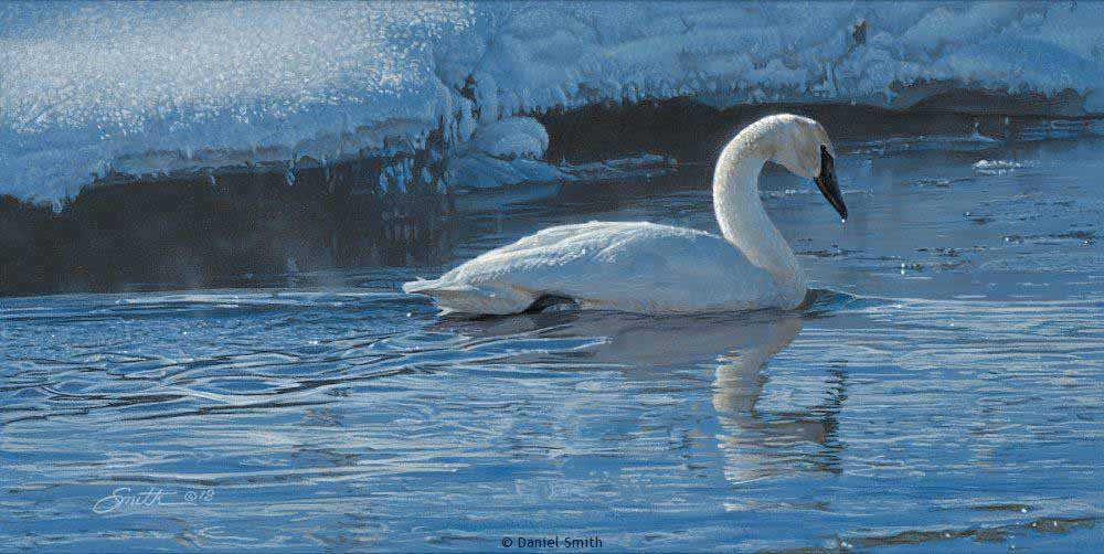 DS – Swan River © Daniel Smith
