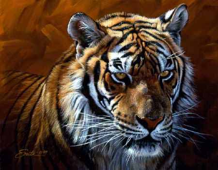 DS – Tiger Head Portrait by Daniel Smith