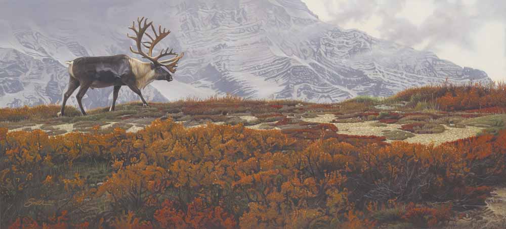 DS – Tundra Trekker © Daniel Smith