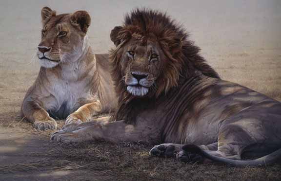 DS – Two Lions © Daniel Smith