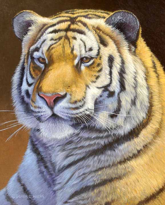 DW – Tiger © Derek Wicks