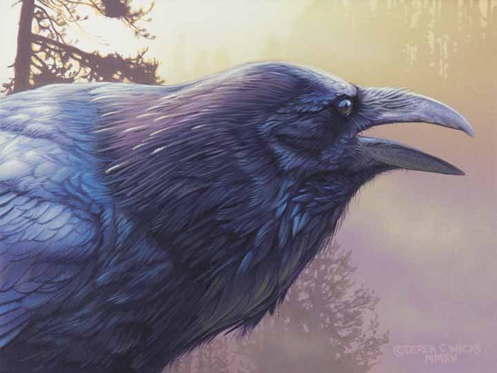 DW – Valley of the Raven © Derek Wicks