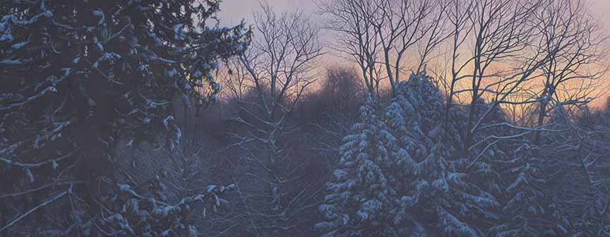 DW – Winter Filigree © Derek Wicks