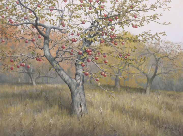 GA – Apple Orchard in Fall © Greg Alexander