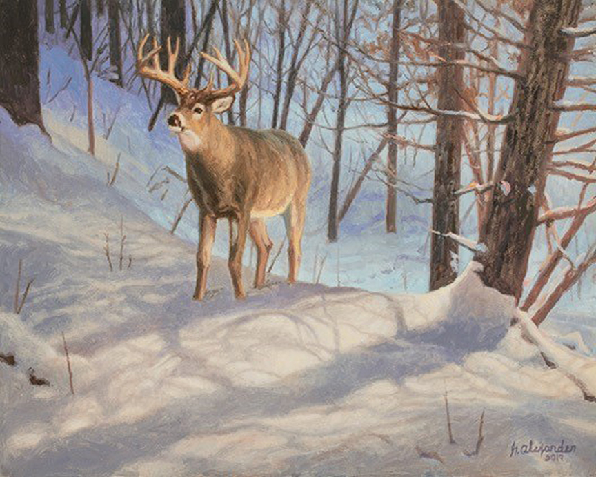 GA – Deer in Snow © Greg Alexander