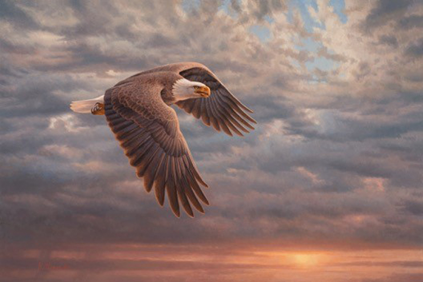 GA – Eagle © Greg Alexander