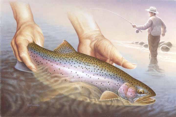 GA – Fishing – Rainbow Trout © Greg Alexander