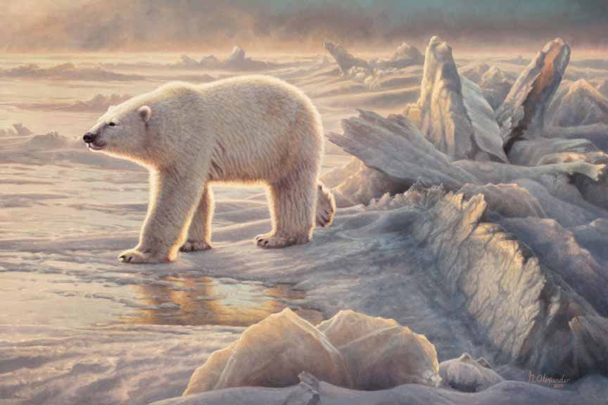 GA – Polar Bear © Greg Alexander