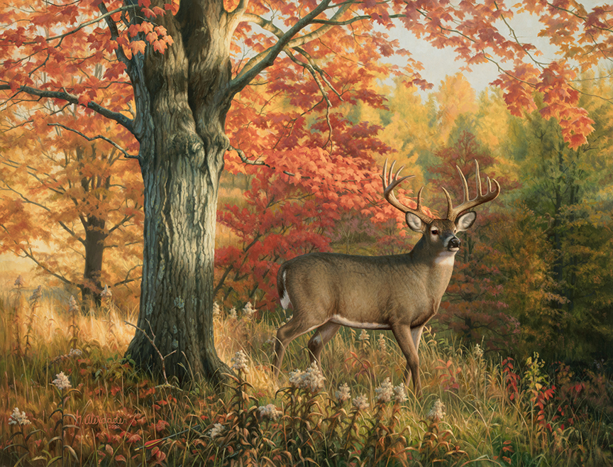 GA – The Beauty of Hunting © Greg Alexander