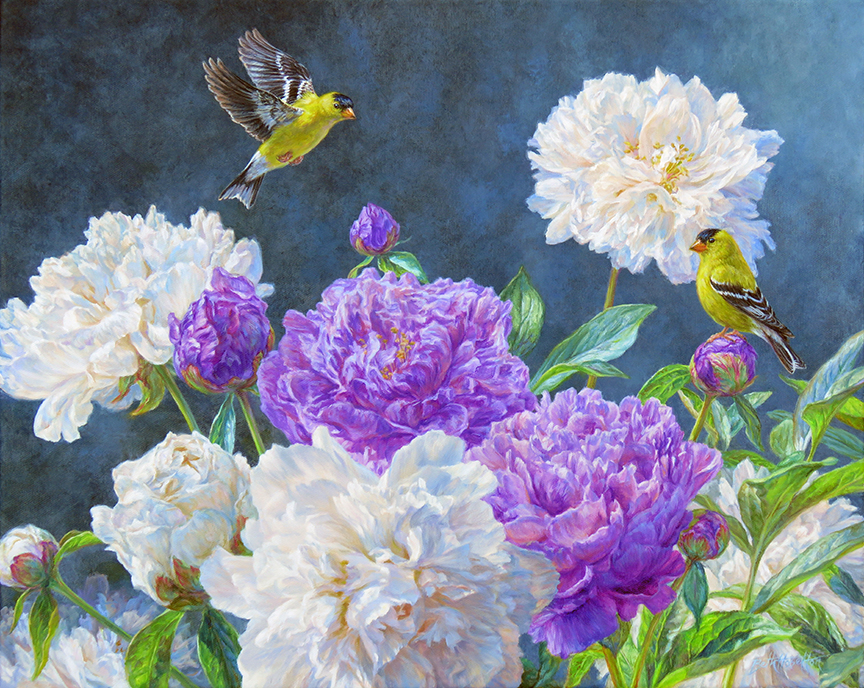 BH2 – Garden Glory – American Goldfinches and Peonies © Beth Hoselton