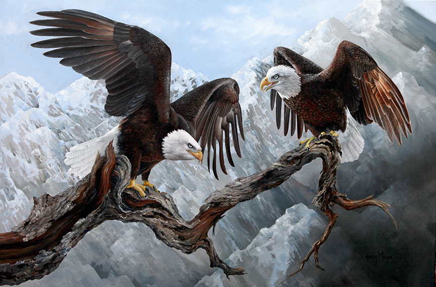HM – Bald Eagles © Hilary Mayes