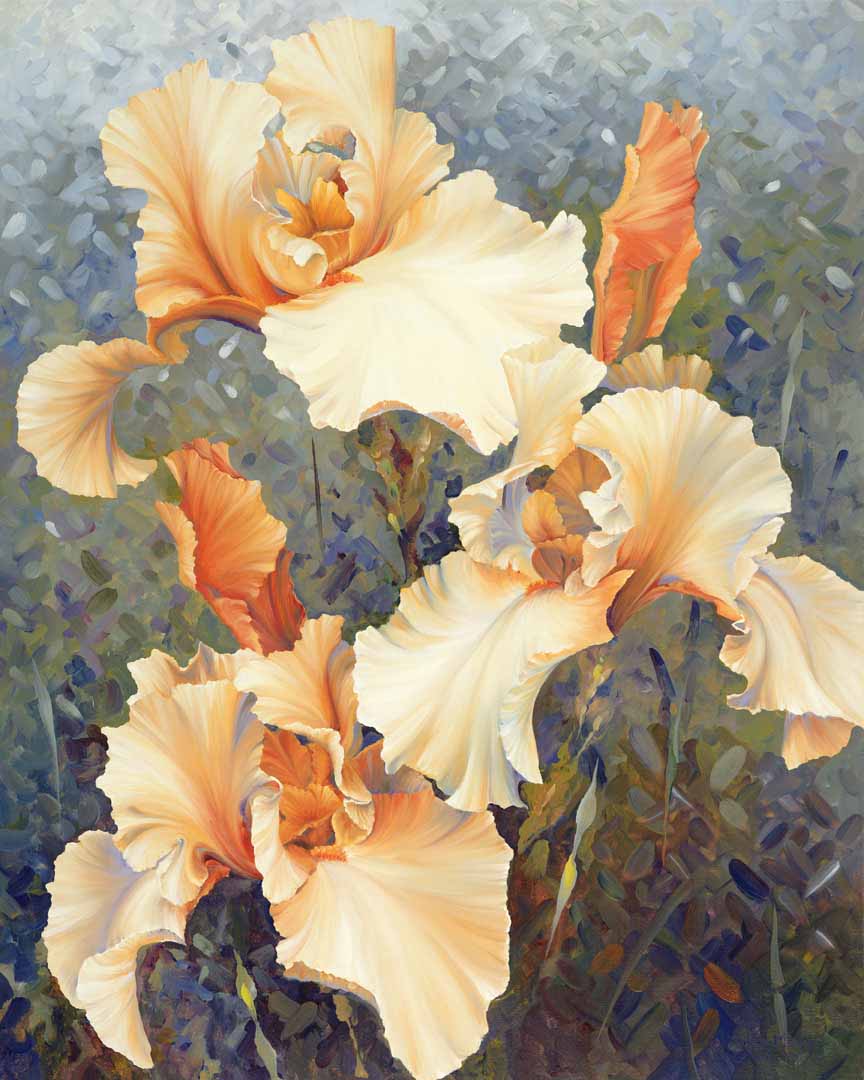 HM – Garden, Floral – Peaches © Hilary Mayes