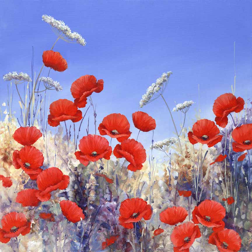 HM – Garden, Floral – Poppies (Square) © Hilary Mayes